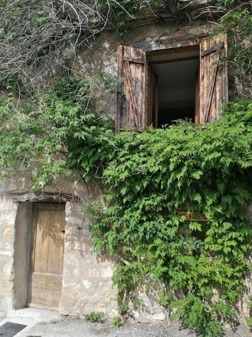 La Maison De La Vigne Bauduen Ngoại thất bức ảnh
